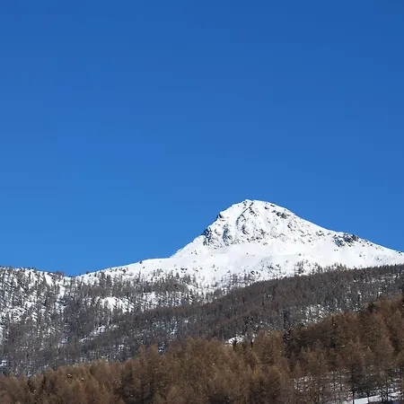 Vieux